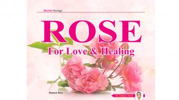 Rose for Love and Healing