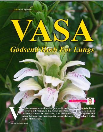 Vasa - Godsend Herb For Lungs