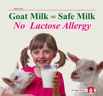 Goat Milk = Safe Milk , No  Lactose Allergy
