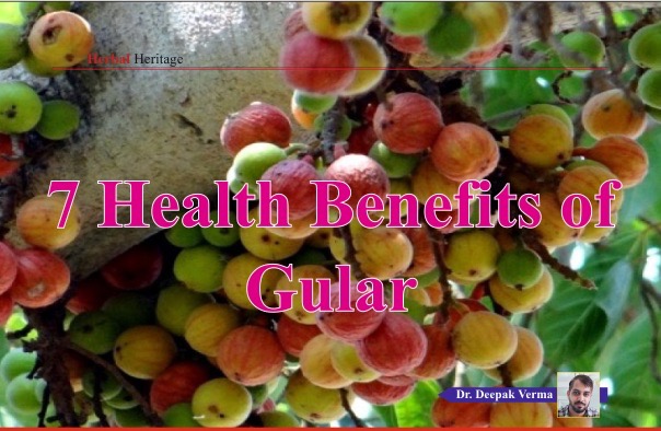 7 Health Benefits of  Gular
