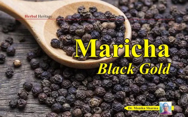 Maricha - The black Gold