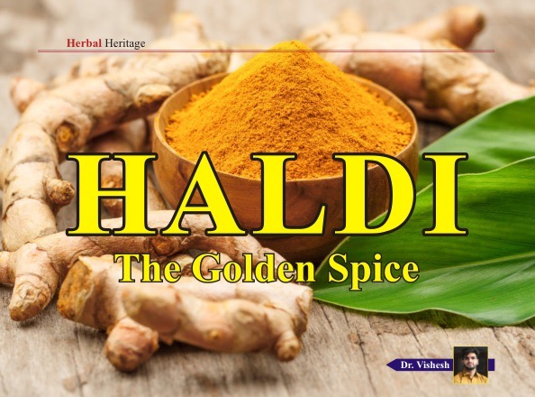 Haldi - The Golden Spice