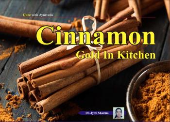 Cinnamon - Gold In Kitchen